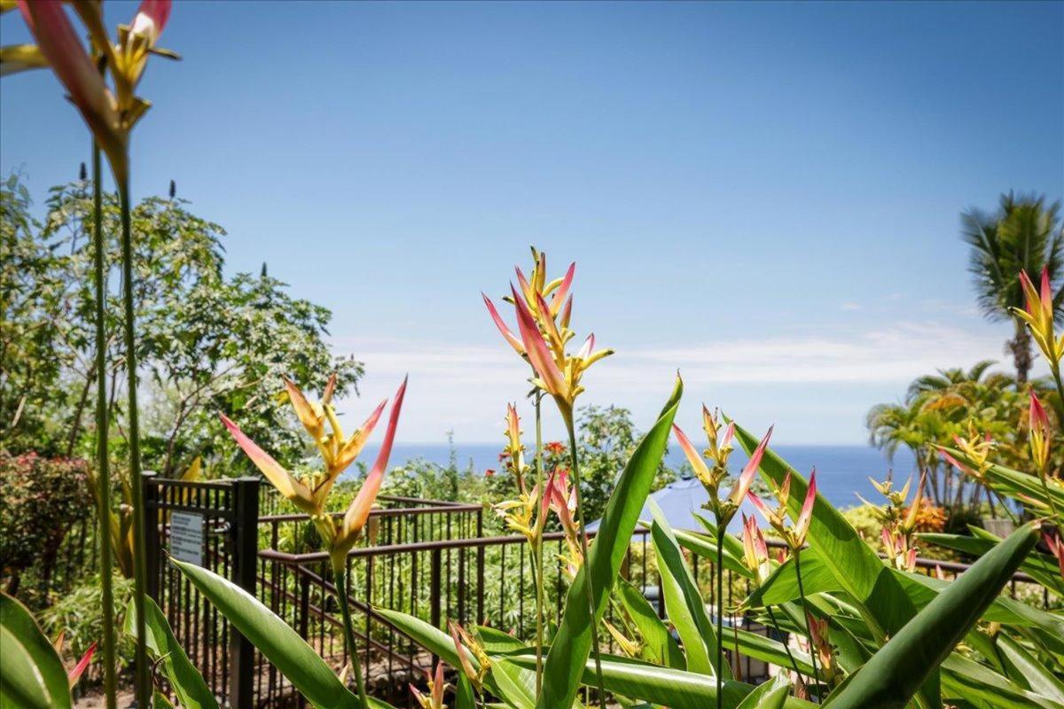 Kona Westwind 1 New! Quiet Ocean-View 1St Floor | Patio | Pool Villa Kailua-Kona Ngoại thất bức ảnh