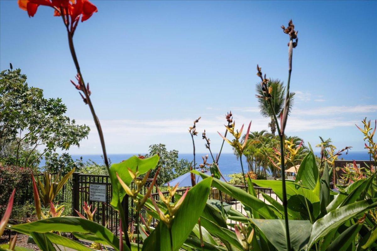 Kona Westwind 1 New! Quiet Ocean-View 1St Floor | Patio | Pool Villa Kailua-Kona Ngoại thất bức ảnh